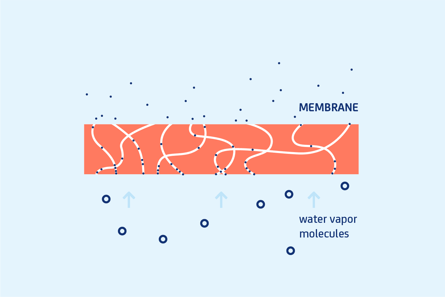 Sympatex-Breathable-Membrane