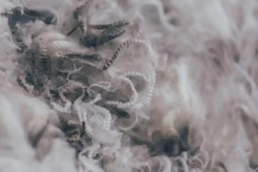 merino wool insulation