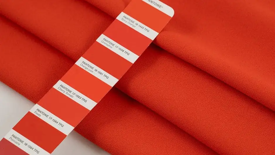 pantone color identity customization