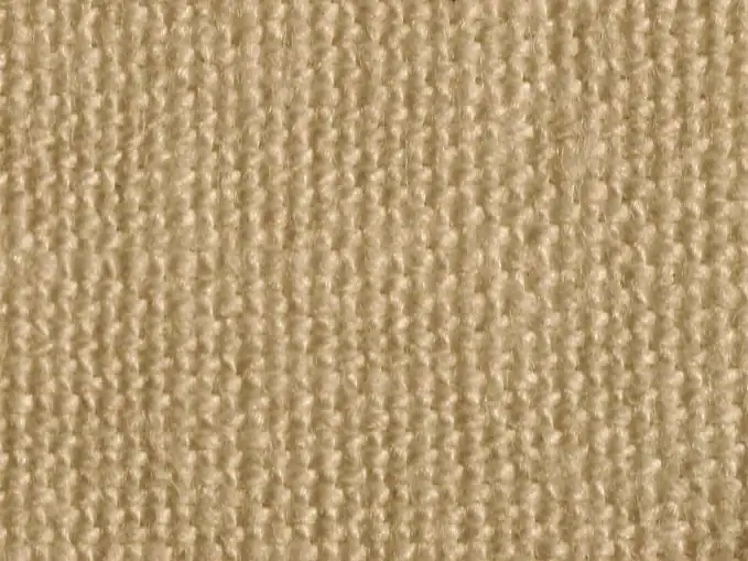 What is Canvas Fabric and How is it Used